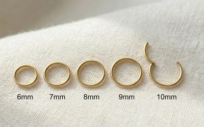 20G Titanium Plain Hinged Clicker Hoop