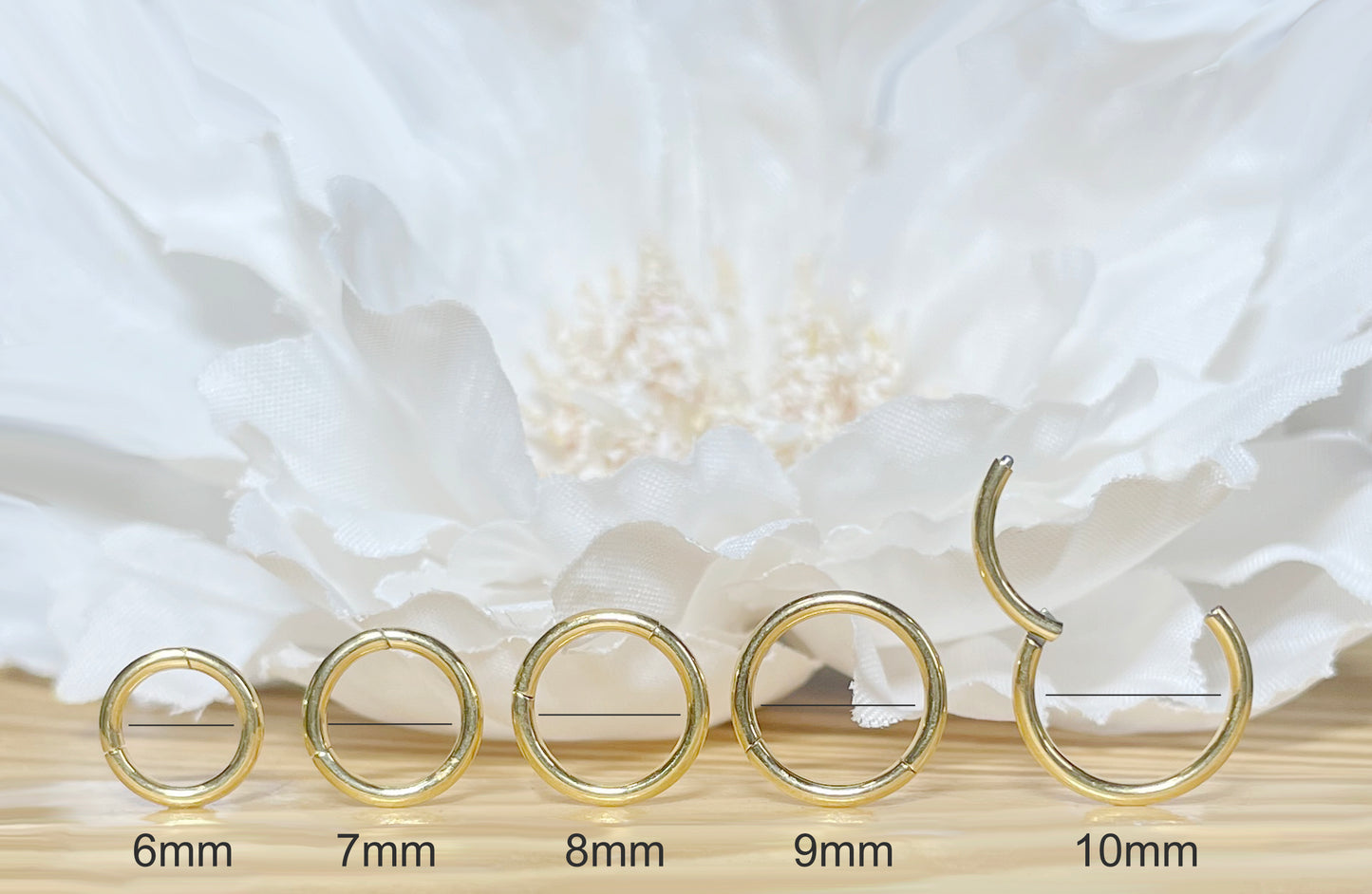 24K Gold PVD Titanium Hinged Hoop Ring