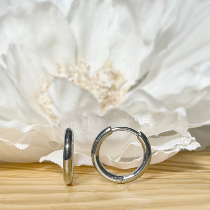 ✨ Titanium 2mm Hinged Plain Round Hoop Earrings