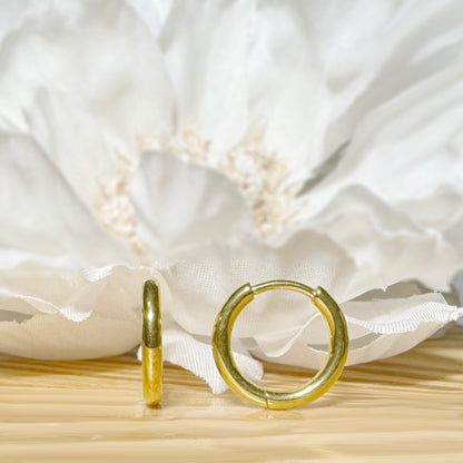 ✨ Titanium 2mm Hinged Plain Round Hoop Earrings