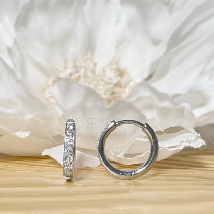 ✨ Titanium 2mm Hinged Plain Round CZ Hoop Earrings