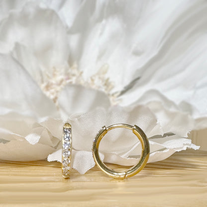 ✨ Titanium 2mm Hinged Plain Round CZ Hoop Earrings