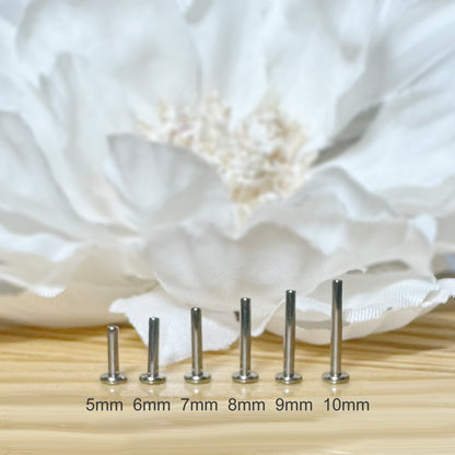 Titanium Threadless Push-In Labret Bar 3mm Flatback