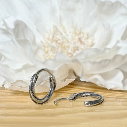 ✨ Stainless Steel Hinged Hoop Earrings with Twist