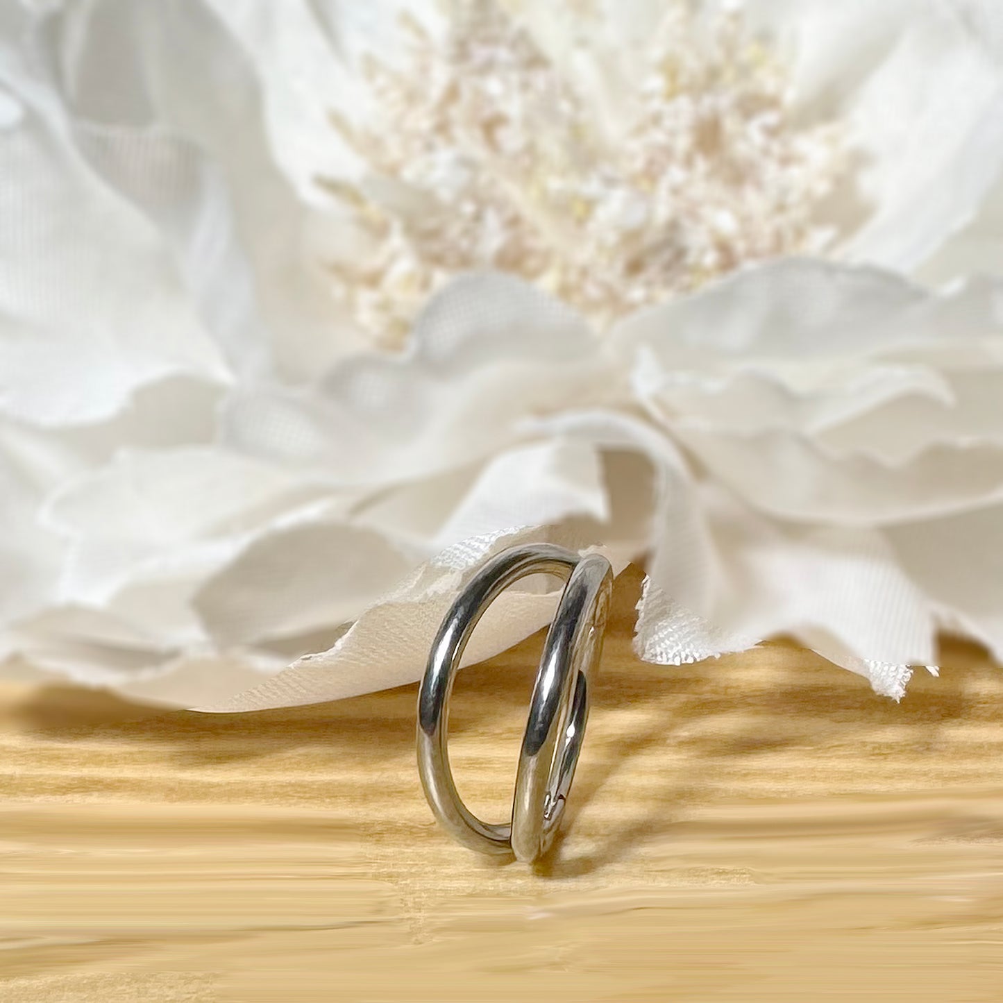 ✨ Titanium Hinged Double Hoop Segment Ring