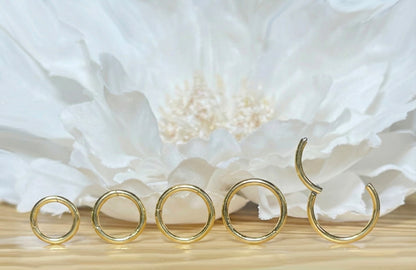 24K gold titanium hinged segment hoop ring for septum and daith
