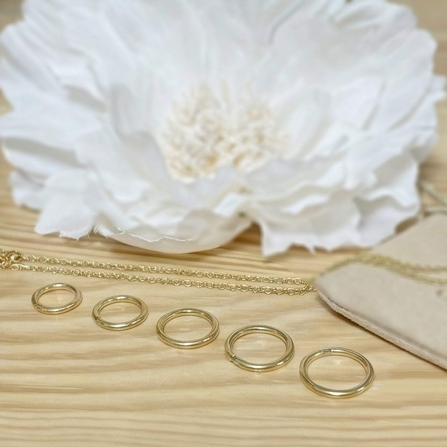 24K Gold PVD Titanium Hinged Hoop Ring