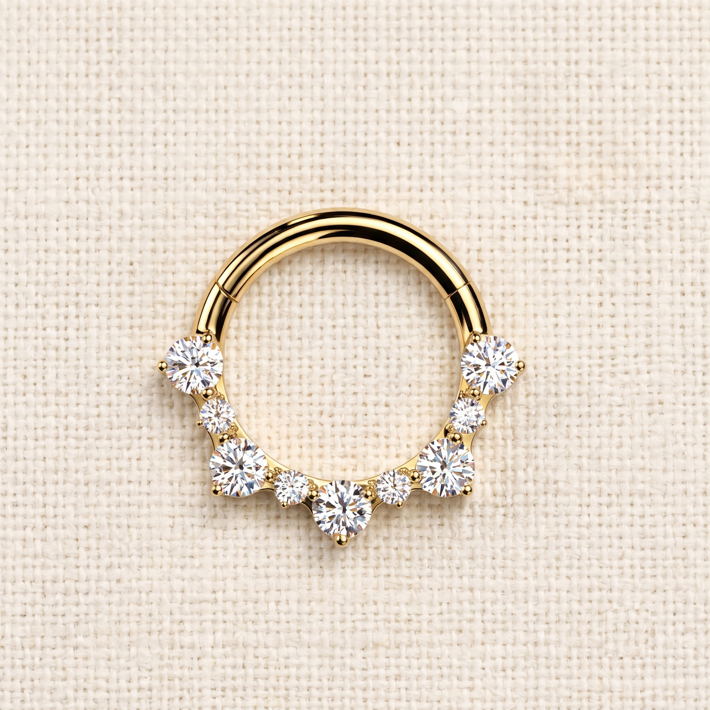 Titanium Hinged Segment Hoop Ring With CZ Cluster