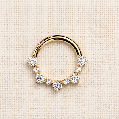 Titanium Hinged Segment Hoop Ring With CZ Cluster