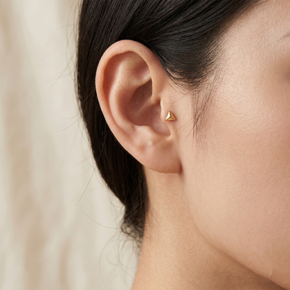 Titanium Rounded Triangle Threadless Stud