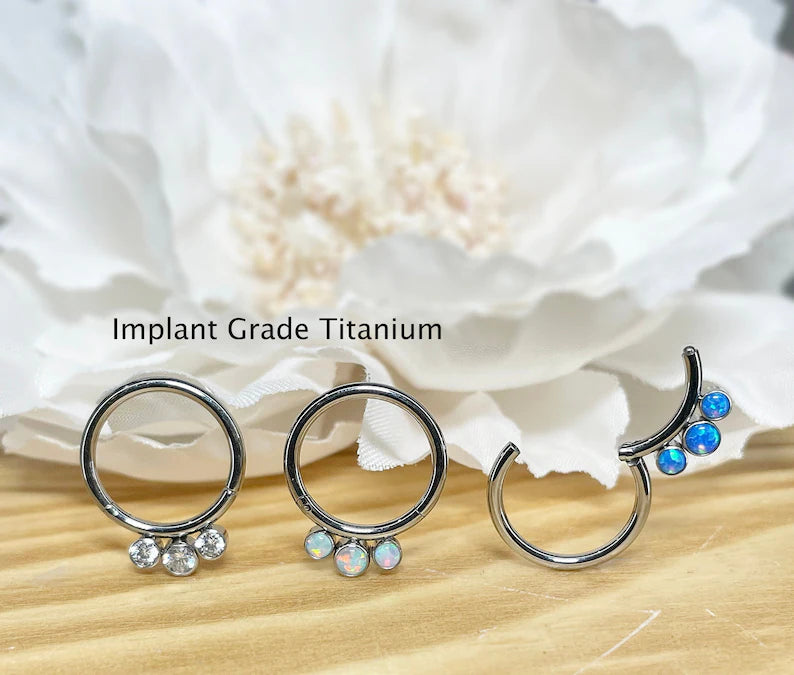 ✨ Titanium 3-Bezel Set CZ Hinged Clicker Hoop 16G