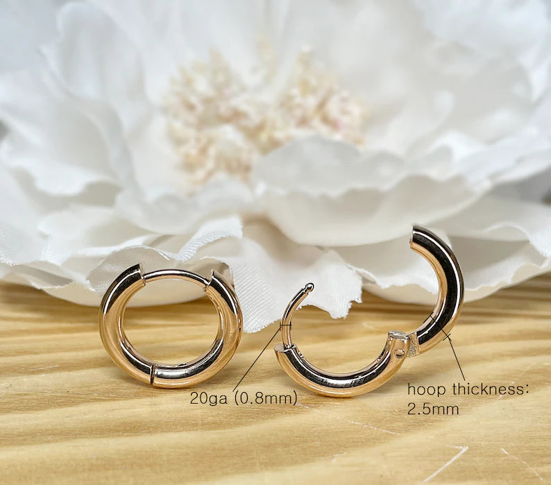 ✨ Surgical Steel Hinge Seamless 2.5mm Hoop Earrings