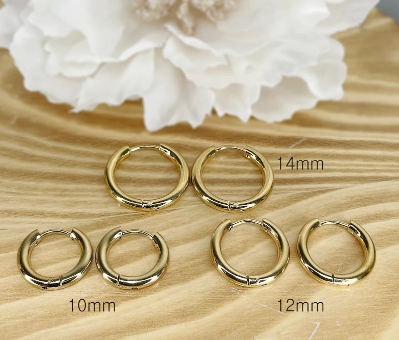 ✨ Surgical Steel Hinge Seamless 2.5mm Hoop Earrings