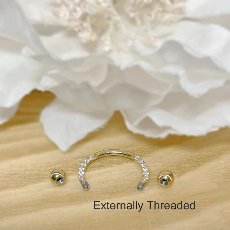 ✨  Titanium Horseshoe Circular Barbells with CZ