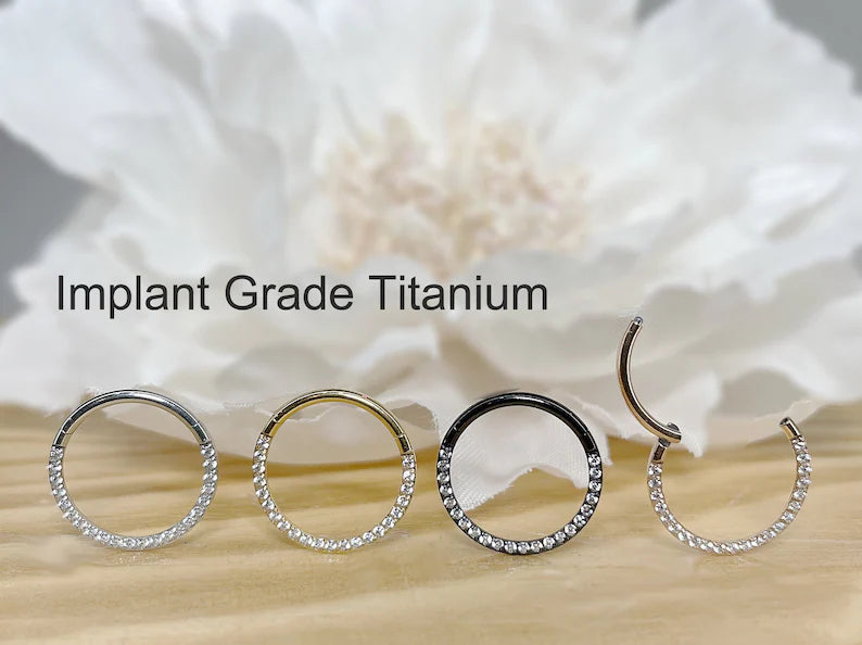 ✨ Titanium Hinged Segment Hoop with CZ Front