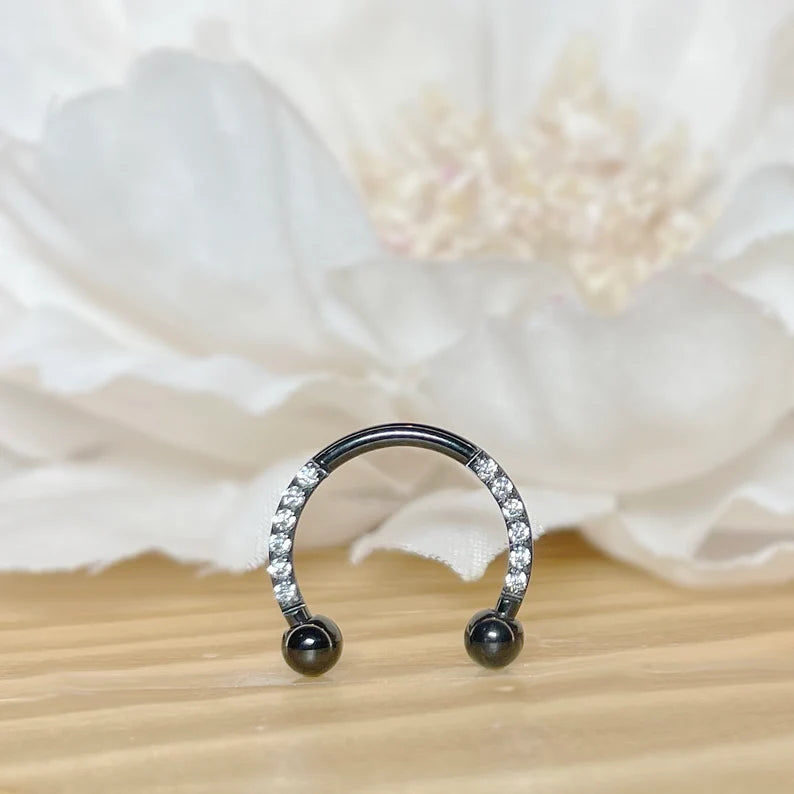 ✨  Titanium Horseshoe Circular Barbells with CZ