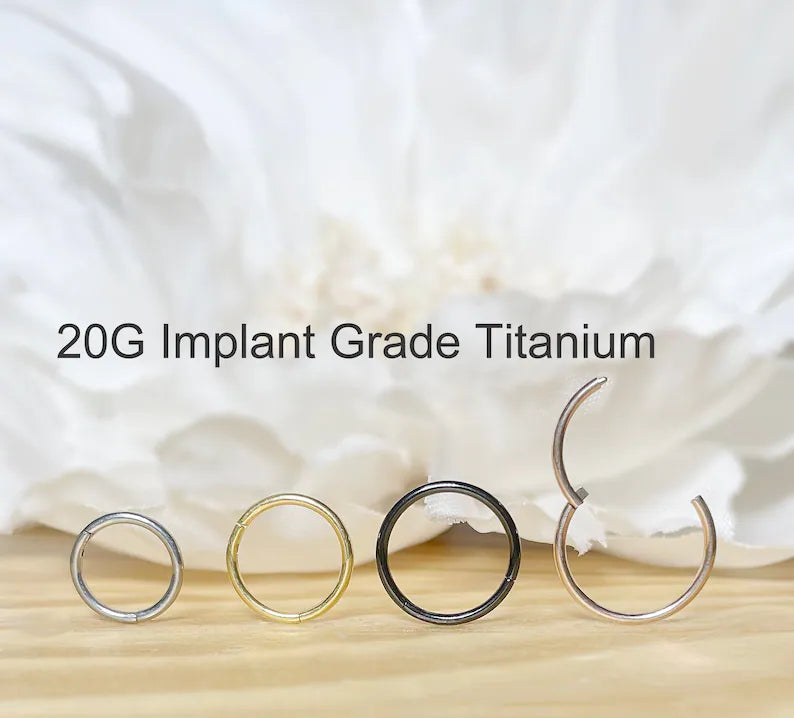 ✨ 20G Titanium Plain Hinged Hoop Clicker Ring