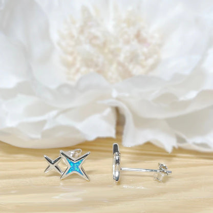 ✨ 925 Silver North Star Stud Earrings