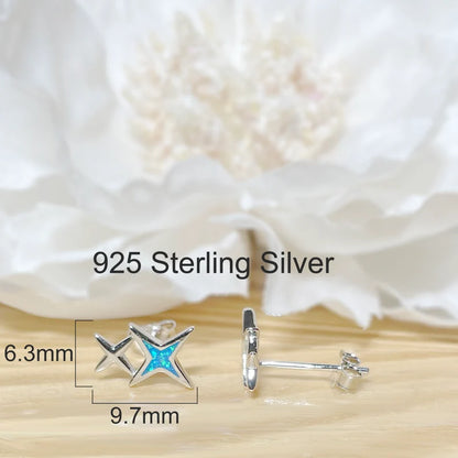 ✨ 925 Silver North Star Stud Earrings