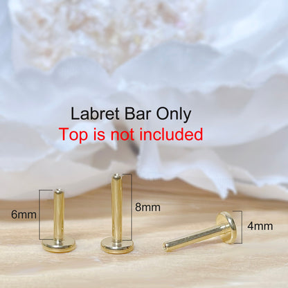 ✨ Gold Titanium Threadless Push In Labret Bar 20G 18G 16G