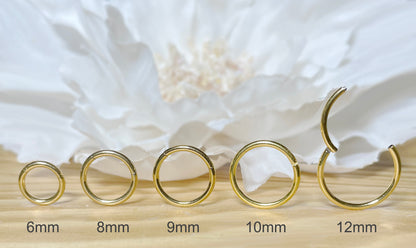 ✨ Gold Surgical Steel Hinged Segment Clicker Hoop