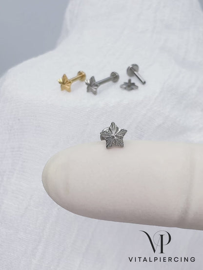 ✨ Titanium Star Top Internally Threaded Labret 16G