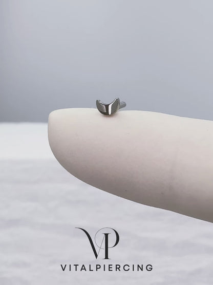 ✨ Titanium Threadless Push In Crescent Moon Convex Base Back Labret