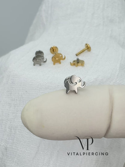 ✨ Titanium Elephant Top Internally Threaded Labret 16G