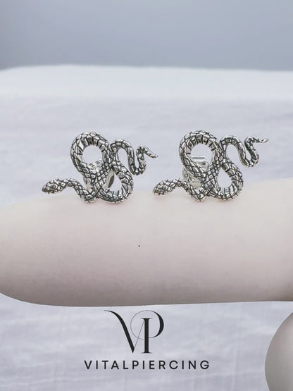 ✨ 925 Silver Snake Stud Earrings