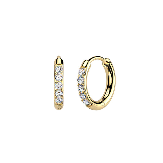 Titanium Moissanite Hinged Hoop Earrings (Pair)